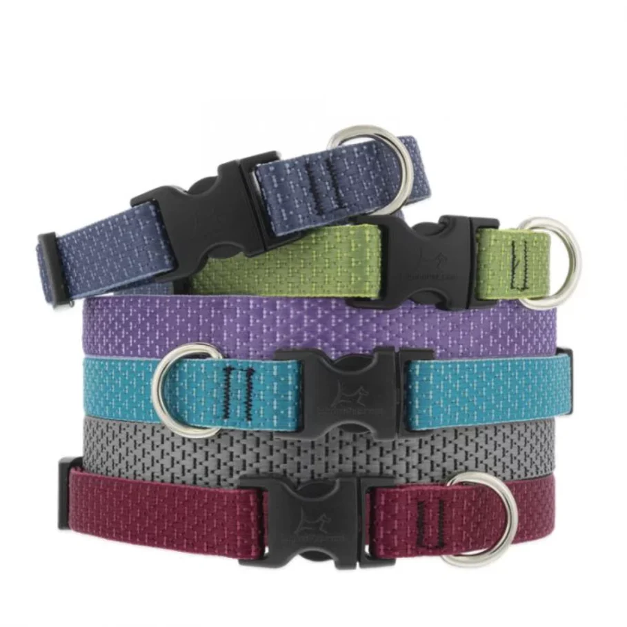 Lupine Eco Collection Collars - Image 2