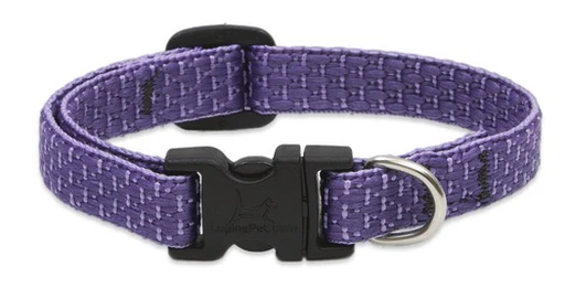 Lupine Eco Collection Collars - Image 7
