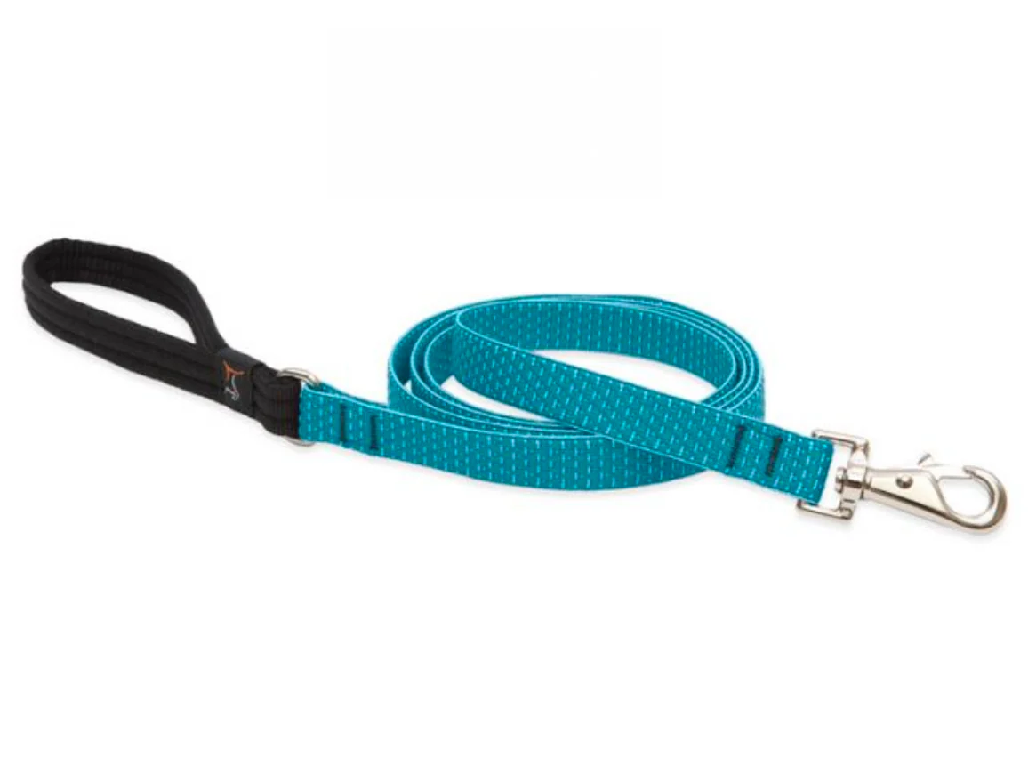 Lupine Eco Collection Leash - Image 5