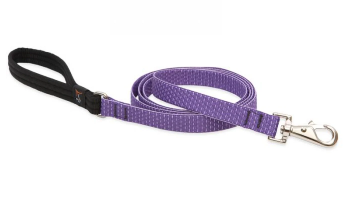 Lupine Eco Collection Leash - Image 6