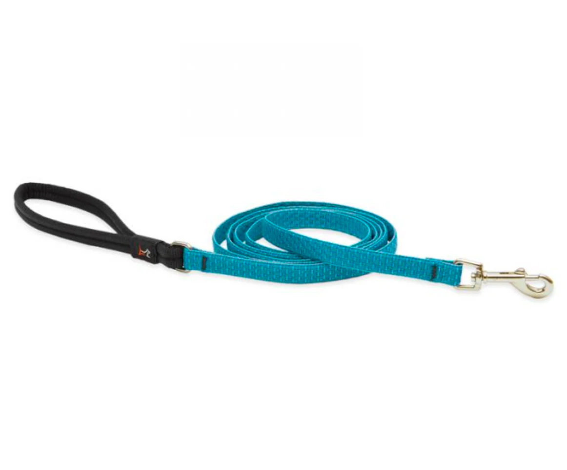 Lupine Eco Collection Leash - Image 7
