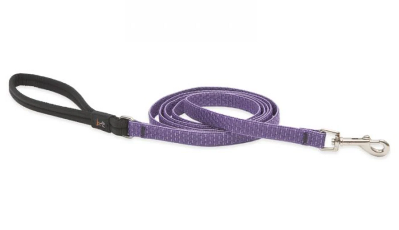 Lupine Eco Collection Leash - Image 9