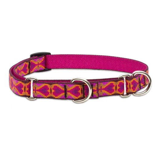 Lupine Original Collars - Image 24