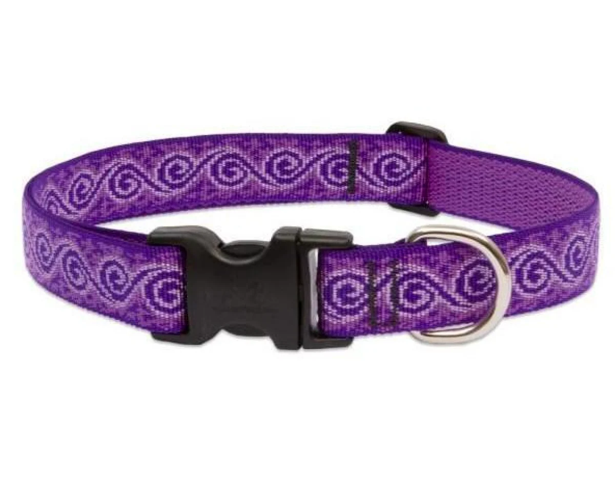 Lupine Original Collars - Image 27