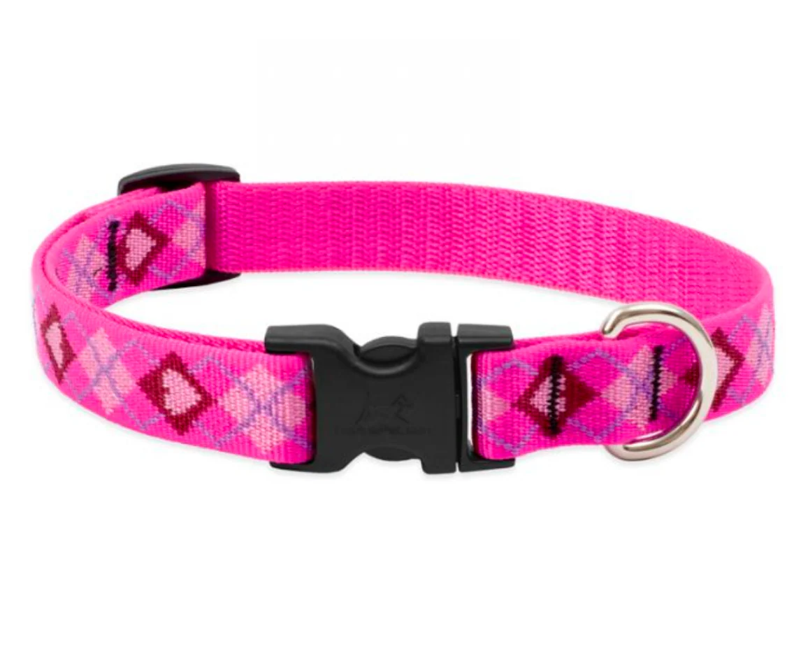 Lupine Original Collars - Image 33