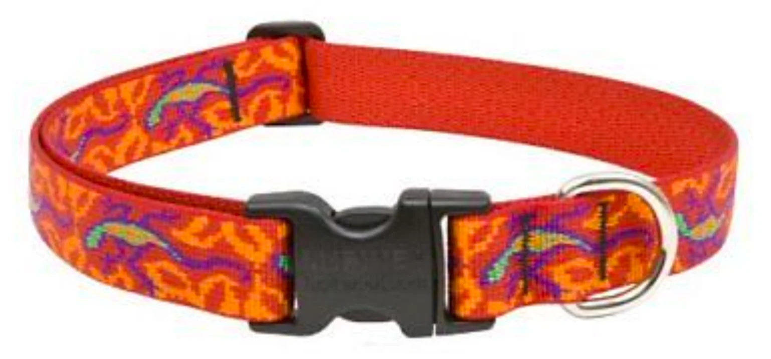Lupine Original Collars - Image 38