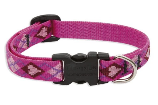 Lupine Original Collars - Image 45