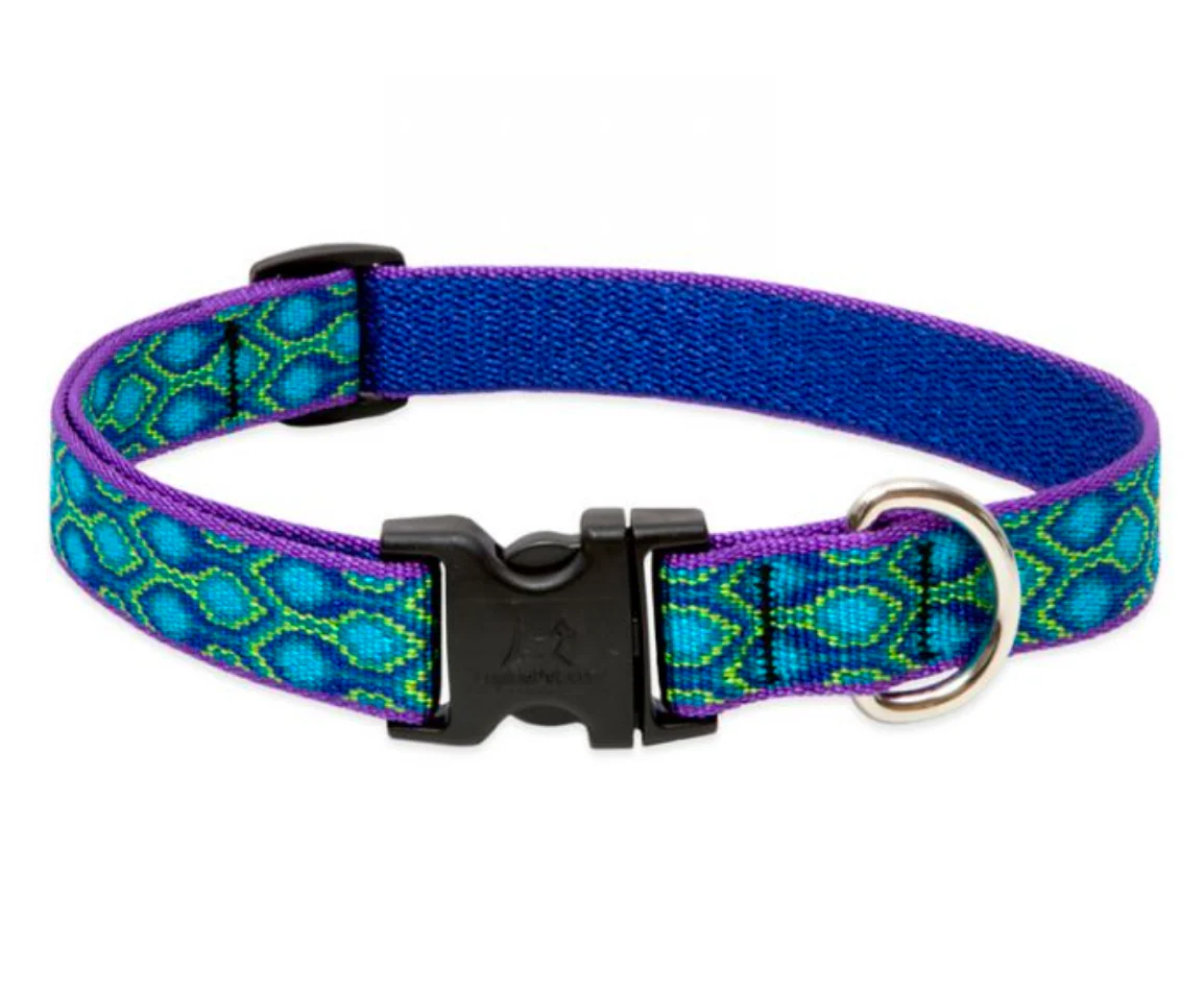 Lupine Original Collars - Image 5
