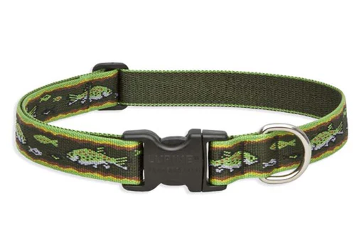 Lupine Original Collars - Image 51