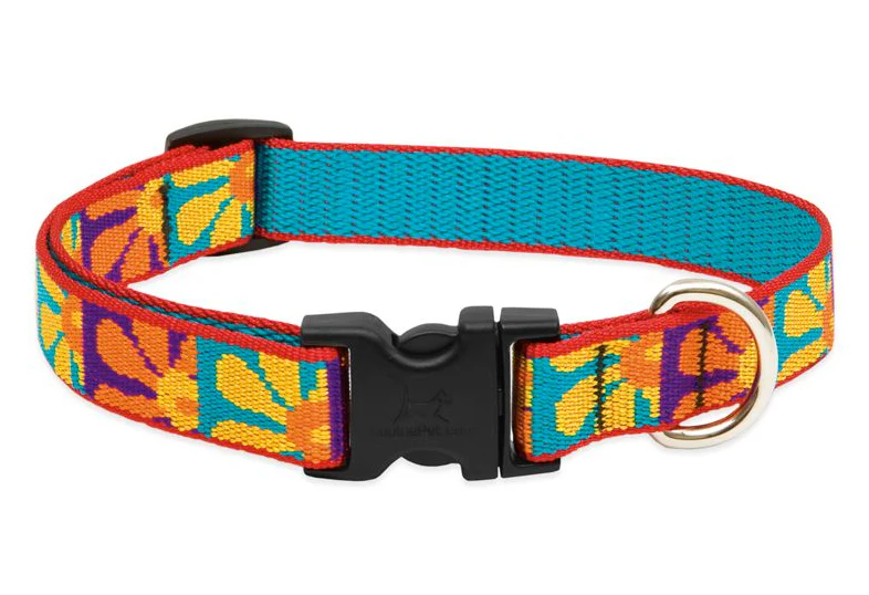 Lupine Original Collars - Image 56