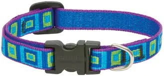 Lupine Original Collars - Image 60