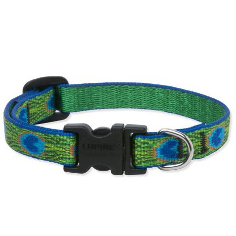 Lupine Original Collars - Image 63