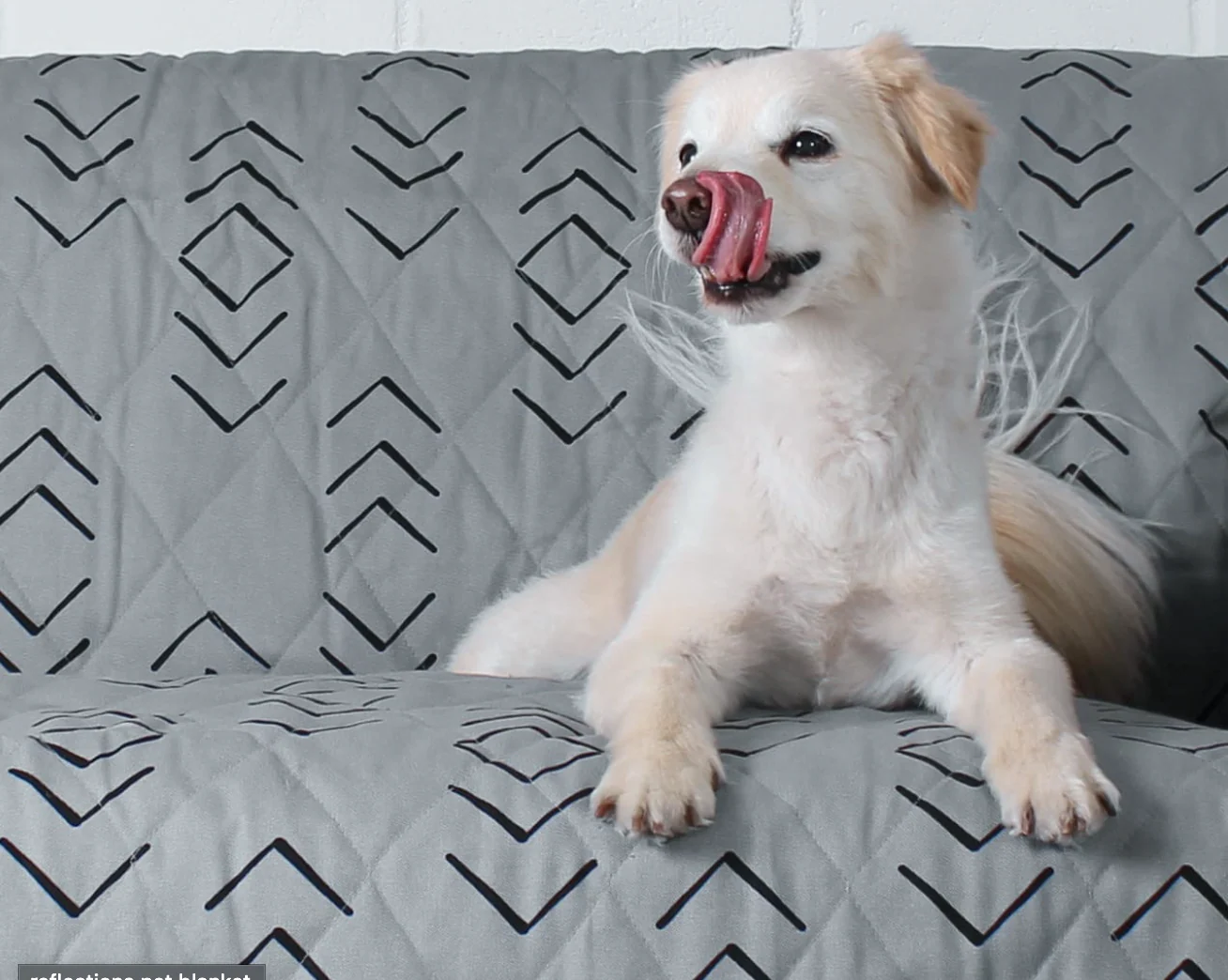 Molly Mutt Blankets - Image 2