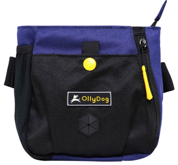 Olly Dog Backcountry Day Bag - Image 5