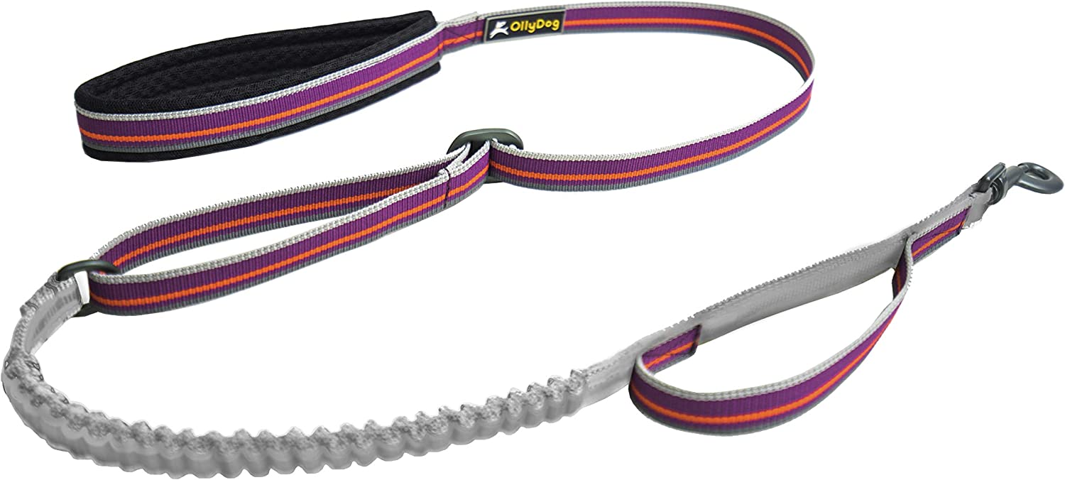 Olly Dog Urban Journey Adjustable Spring Leash - Image 3