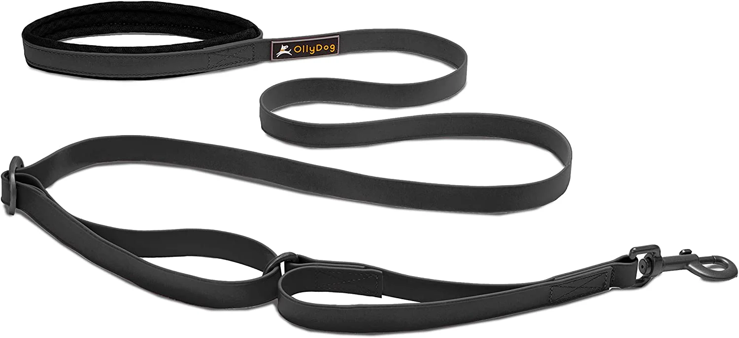 Olly Dog Urban Journey Adjustable Spring Leash - Image 6