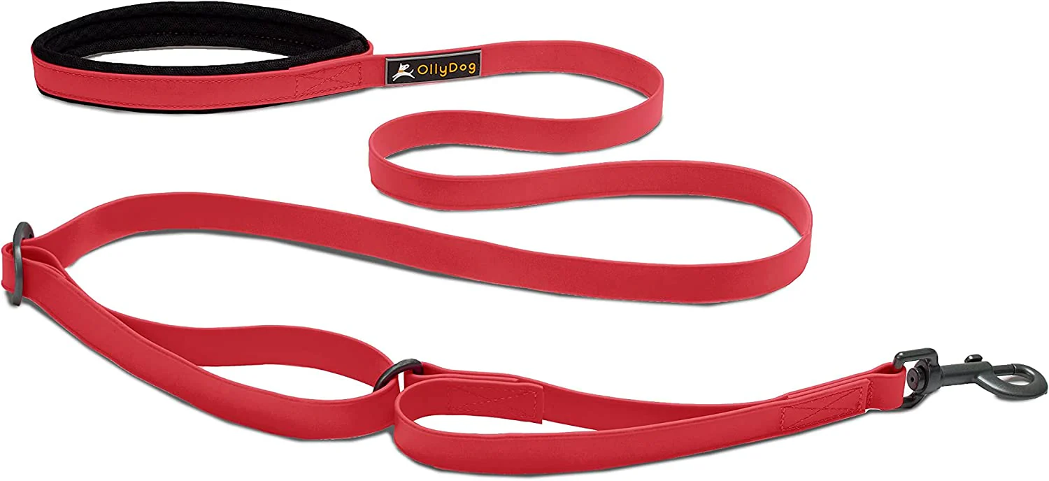 OllyDog Tilden Adjustable Waterproof Leash - Image 3
