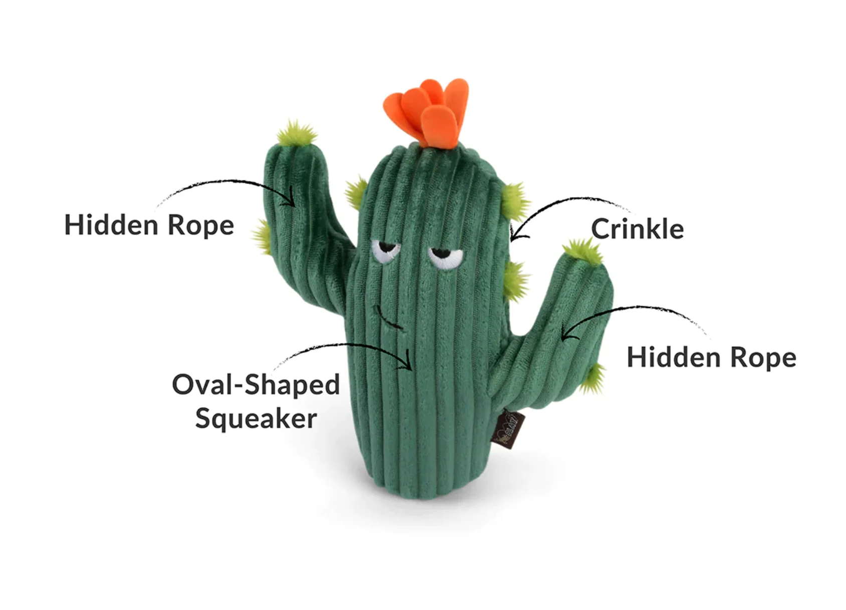 P.L.A.Y. Blooming Buddies Prickly Pup Cactus - Image 2