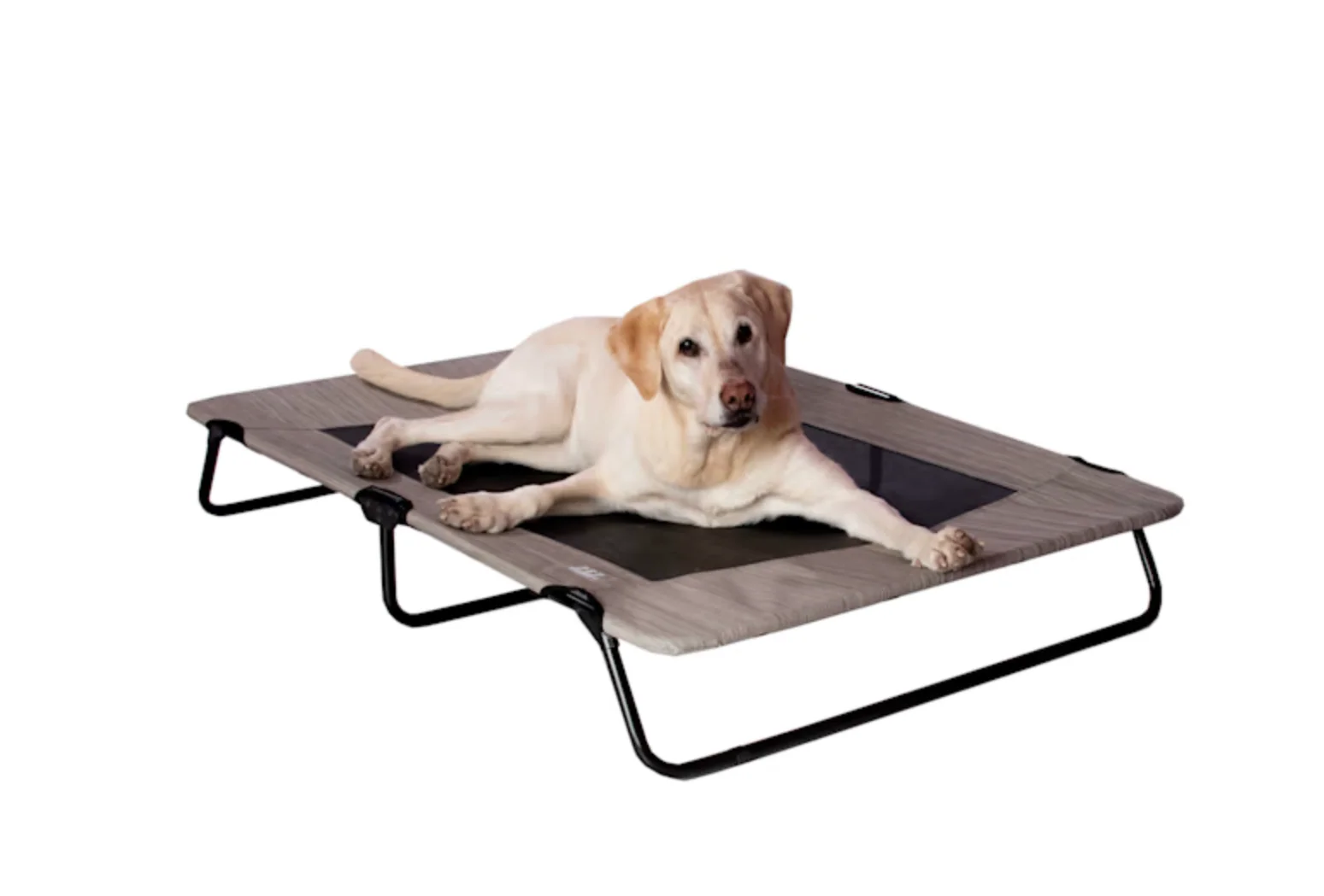 Pet Gear Pet Cot - Image 2