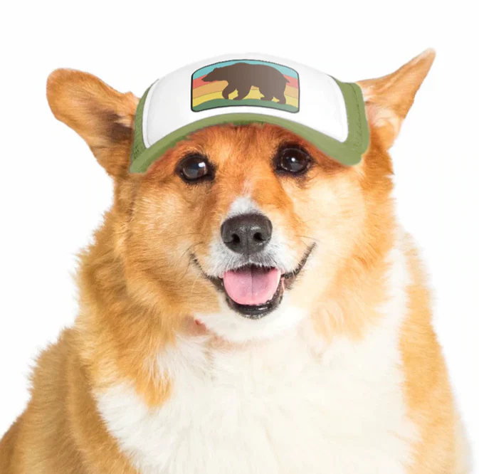 Puplid Trucker Hat - Image 10