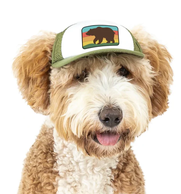 Puplid Trucker Hat - Image 11