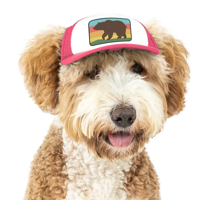 Puplid Trucker Hat - Image 12