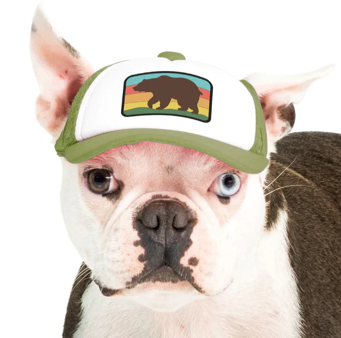 Puplid Trucker Hat - Image 14