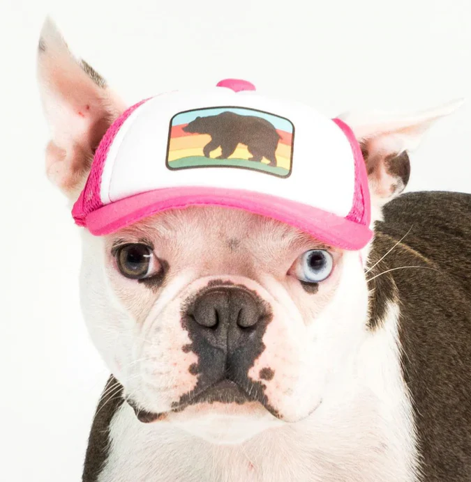 Puplid Trucker Hat - Image 15