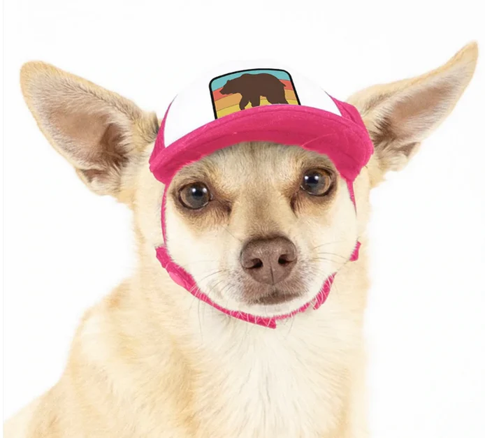 Puplid Trucker Hat - Image 18
