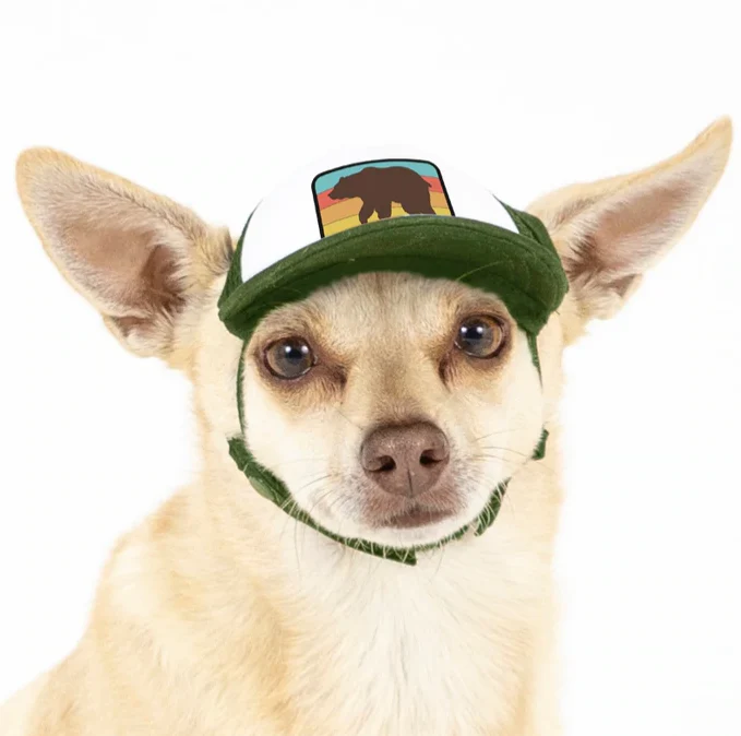 Puplid Trucker Hat - Image 19
