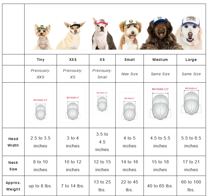 Puplid Trucker Hat - Image 23