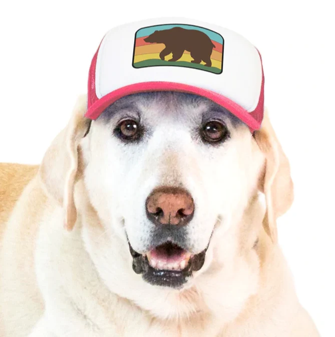 Puplid Trucker Hat - Image 6