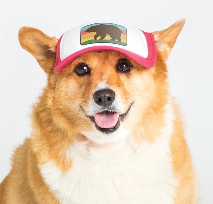 Puplid Trucker Hat - Image 9