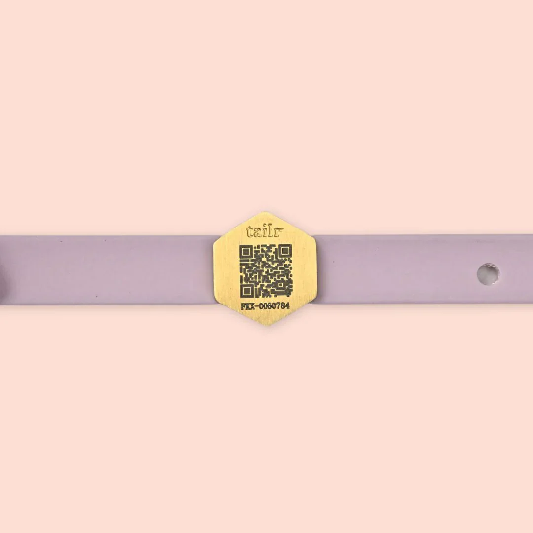 Tailr QR Pet ID Tag - Image 2