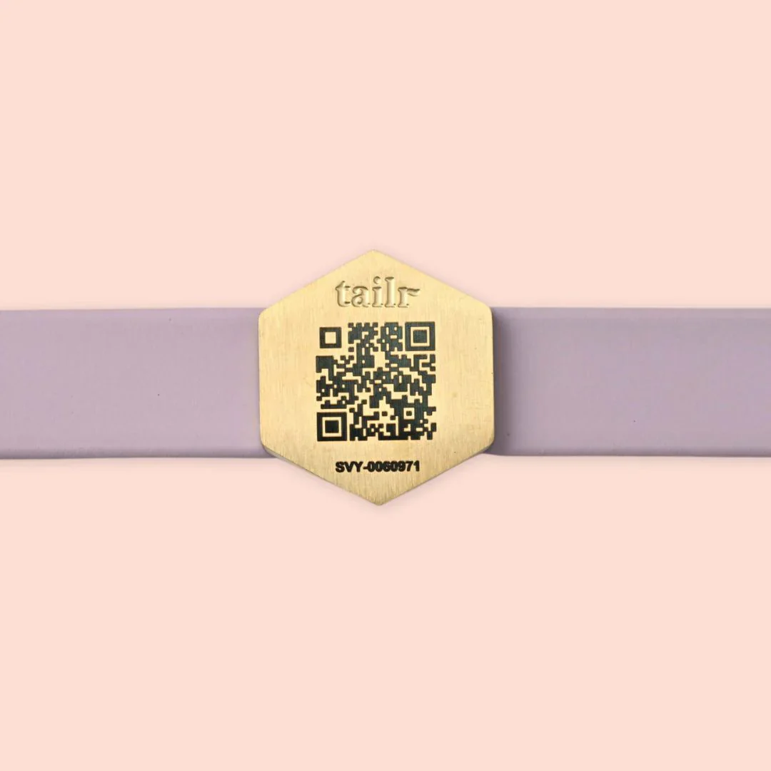 Tailr QR Pet ID Tag - Image 3