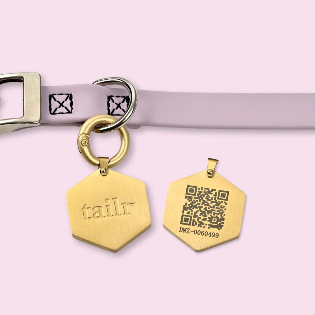Tailr QR Pet ID Tag - Image 4