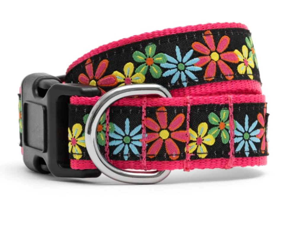 The Worthy Dog Blossoms Collar - Image 5
