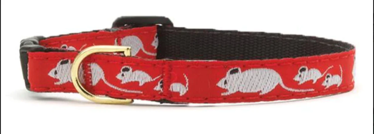 Up Country Cat Collar - Image 4