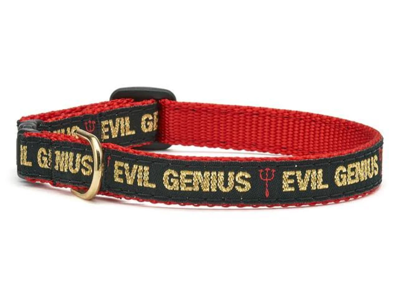 Up Country Cat Collar - Image 6