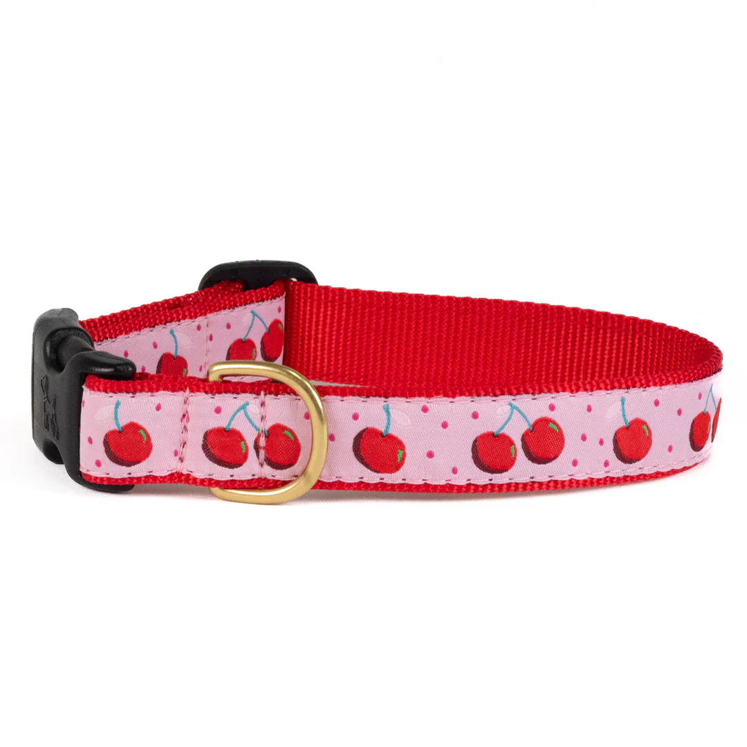 Up Country Cherries Dog Collar - Image 2