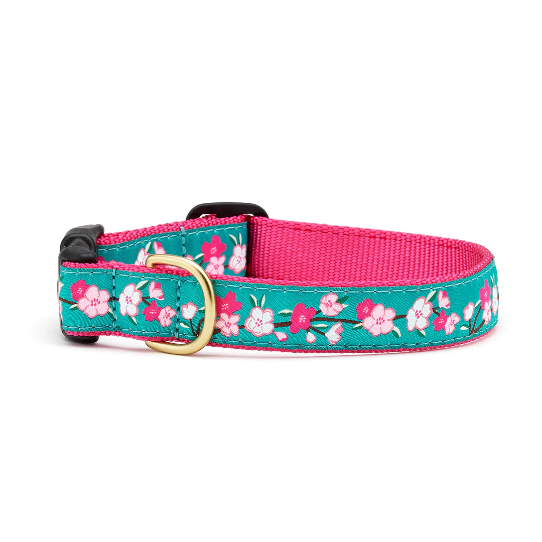 Up Country Cherry Blossoms Dog Collar - Image 3