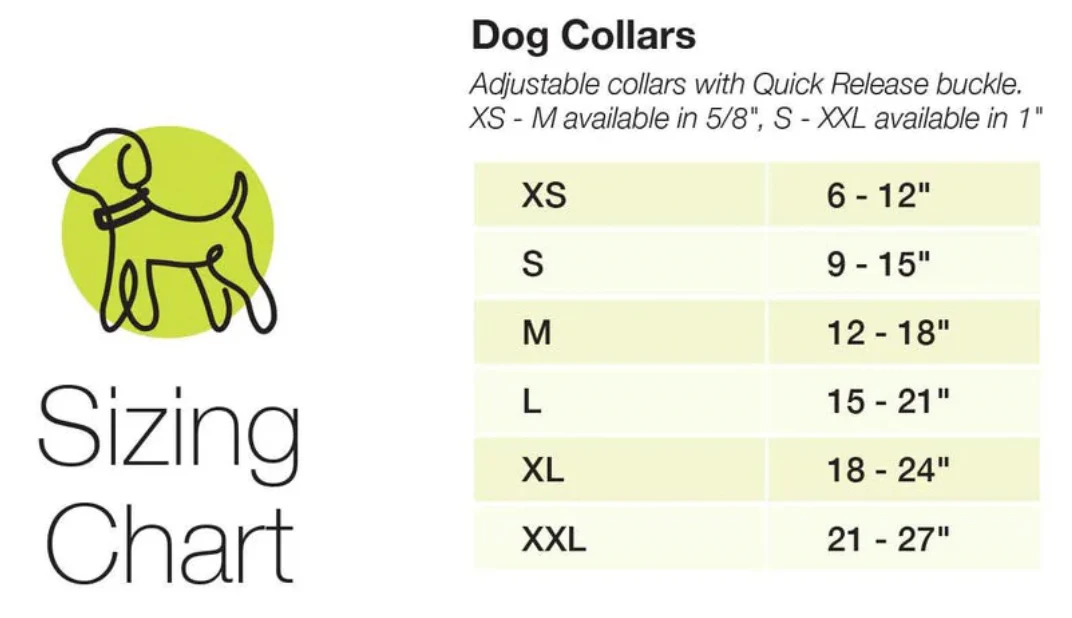 Up Country Howdy Dog Collar - Image 2