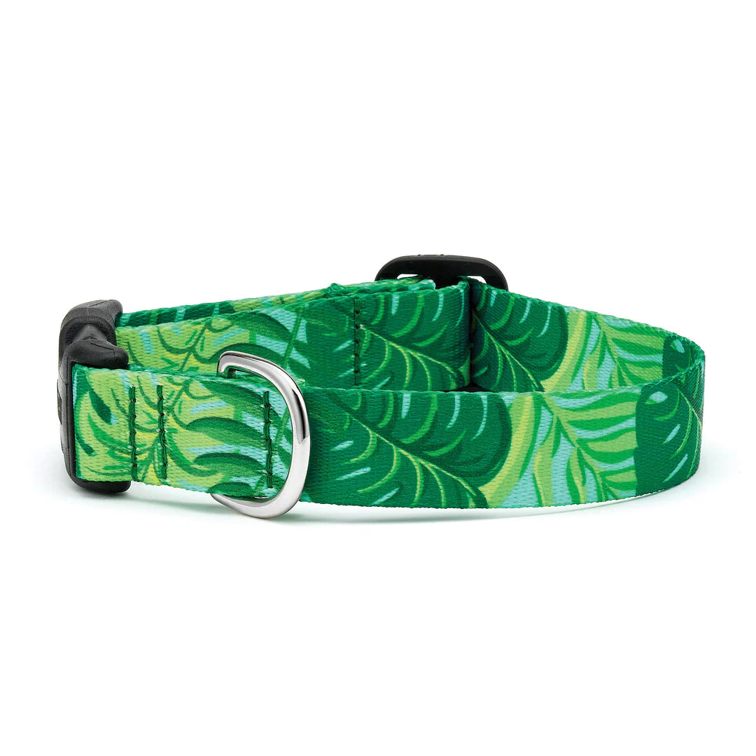 Up Country Palms Dog Collar - Image 3