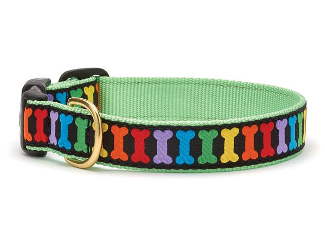 Up Country Rainbones Dog Collar - Image 3