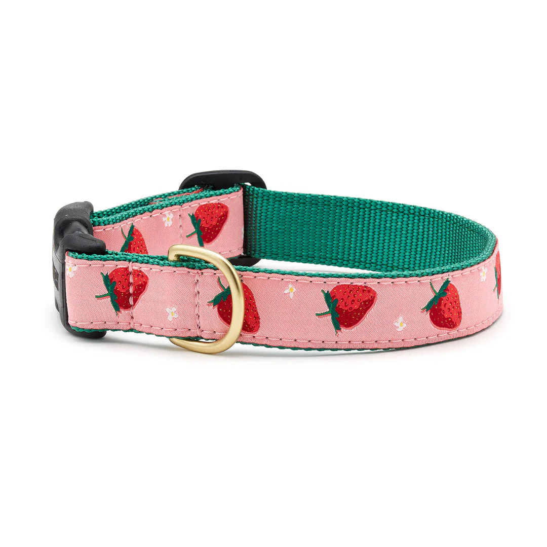Up Country Strawberry Fields Dog Collar - Image 2