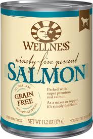 Wellness Grain-Free 95% Salmon - Image 3