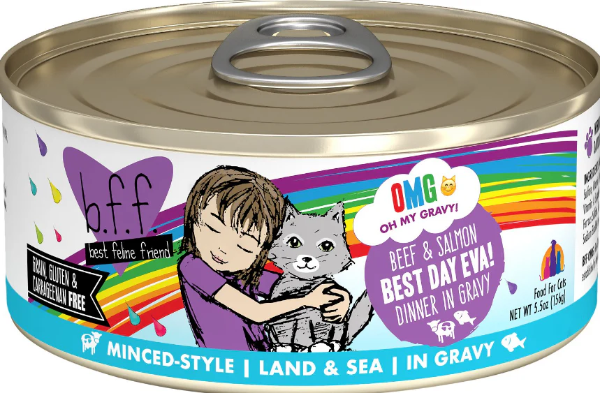 Weruva BFF OMG Best Day Eva! Beef & Salmon - Image 3