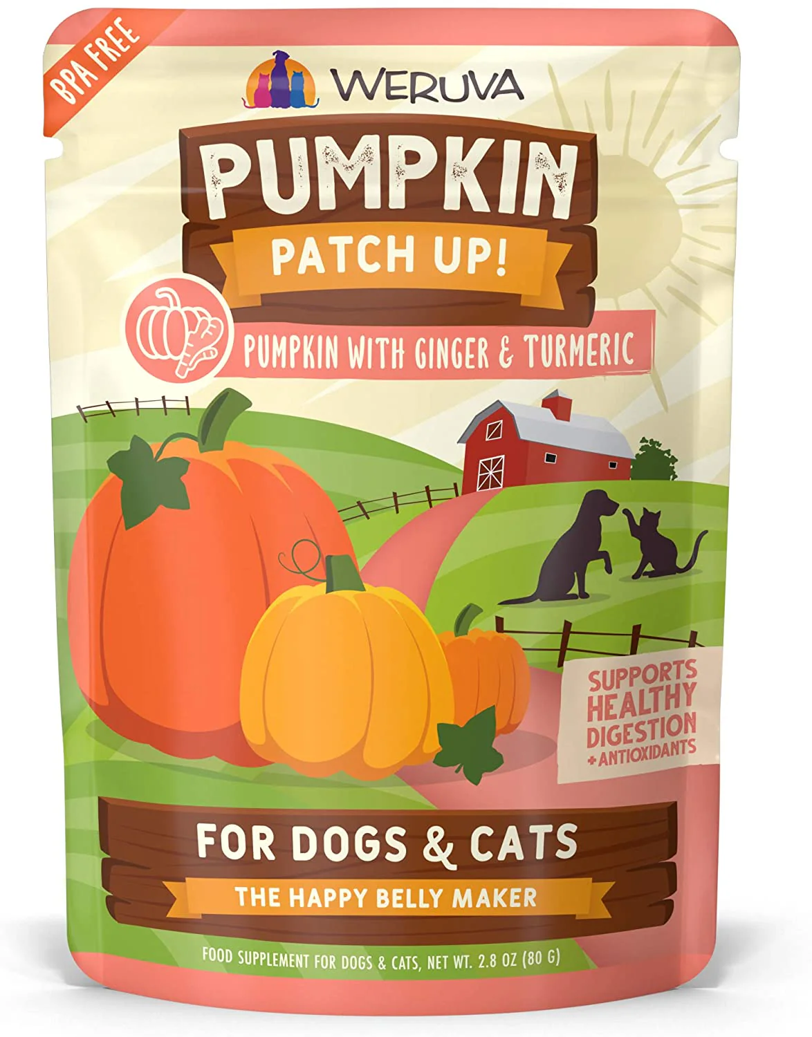 Weruva Pumpkin Patch Up Ginger & Turmeric - Image 2