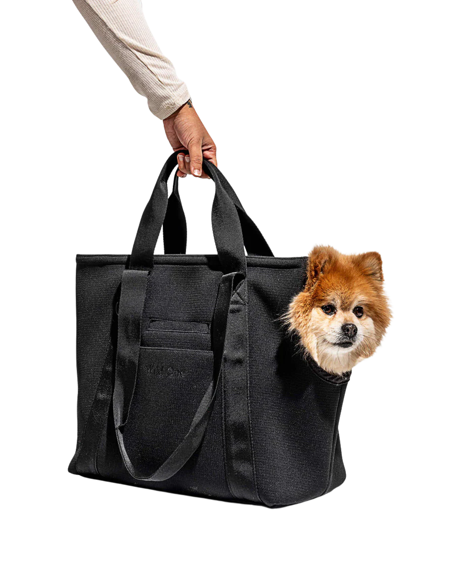 Wild One Everyday Pet Carrier - Image 5