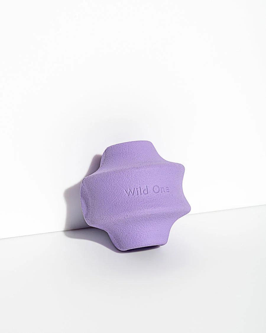 Wild One Twist Toss Ball - Image 2